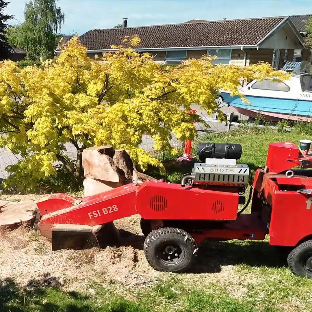 Sådan hjælper vi med rodfræsning på Sjælland