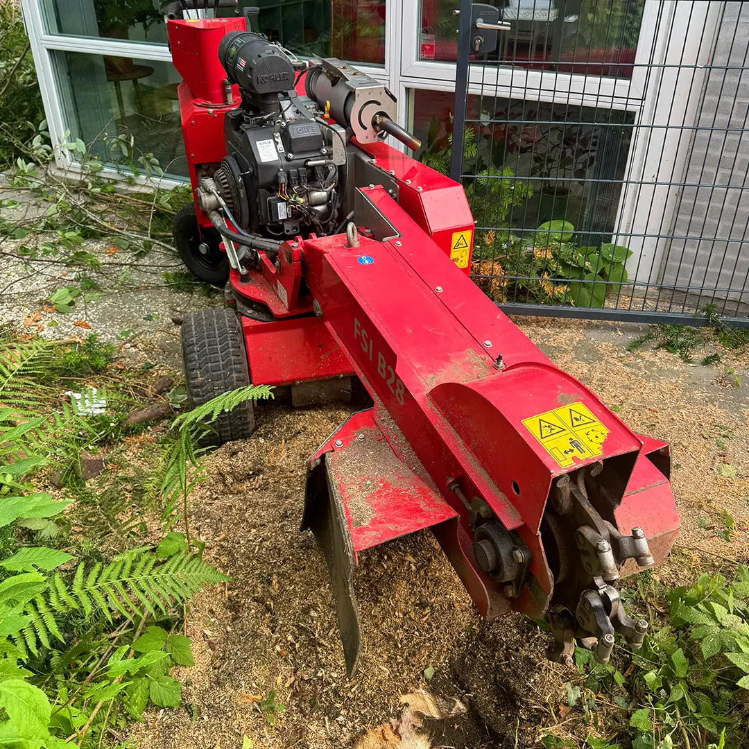 Sådan hjælper vi med stubfræsning på Sjælland